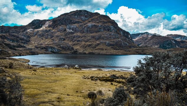 naturaleza-5075023_1920